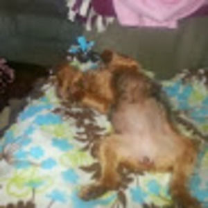 Meet your Posher, Steve